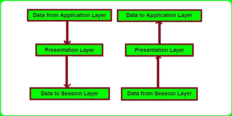 Presentation Layer in OSI Model: Functions, Protocols, Examples, Services